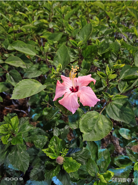 1645278864205423.png 图片7.png